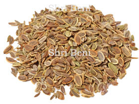 Dill Seed